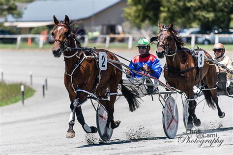 harness racing nz results|NEW ZEALAND RULES OF HARNESS RACING .